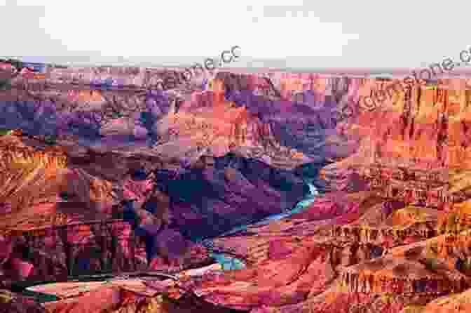 A Breathtaking Panoramic View Of The Grand Canyon, Showcasing Its Vast Expanse And Layered Rock Formations. A Naturalist S Guide To Canyon Country (Naturalist S Guide Series)