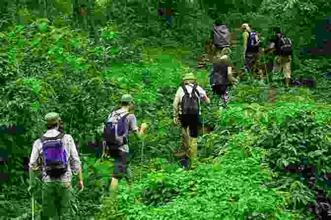 A Group Of Travelers Trekking Through A Lush Rainforest Indian Hill 4: From The Ashes: A Michael Talbot Adventure