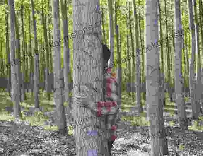 A Man Hiding Behind A Tree, His Face Obscured By Foliage. Hiding In Plain Sight: My Holocaust Story Of Survival