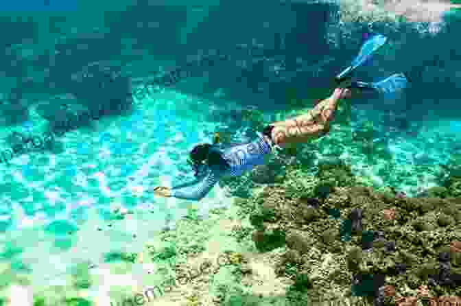 A Snorkeler Explores The Vibrant Underwater World Of Hideaway Key, Surrounded By Colorful Coral Formations And Tropical Fish. Summer At Hideaway Key Barbara Davis