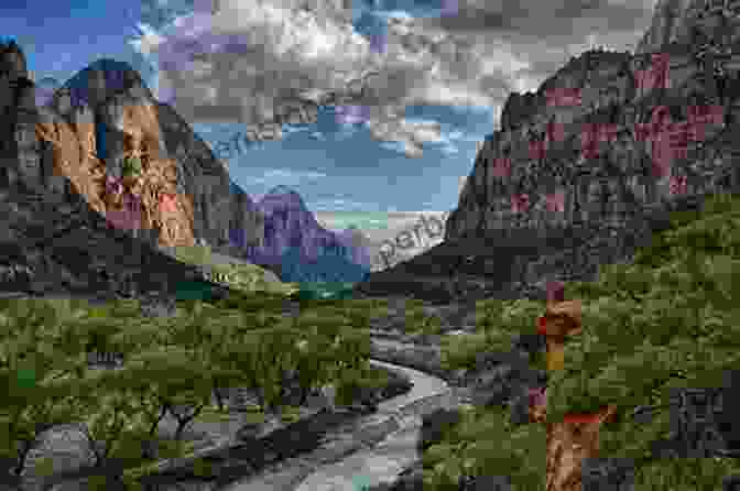 A Stunning Image Of Zion National Park, Capturing The Towering Sandstone Cliffs, Lush Vegetation, And Cascading Waterfalls That Define This Breathtaking Landscape. A Naturalist S Guide To Canyon Country (Naturalist S Guide Series)