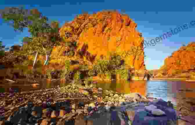 A Stunning Landscape In The Outback Of Australia Camels And Crocs: Adventures In Outback Australia