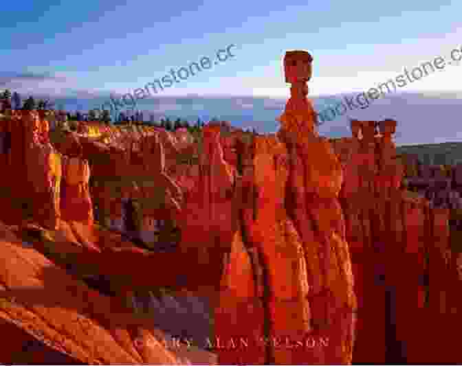 A Vibrant Image Of Bryce Canyon National Park, Showcasing The Iconic Hoodoos That Define This Geological Wonderland. A Naturalist S Guide To Canyon Country (Naturalist S Guide Series)