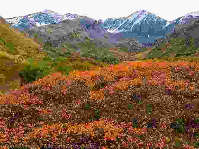 Autumn Colors In The Kenai Peninsula AUTUMN IN ALASKA (Arctic To Antarctic: A Journey Across The Americas 1)