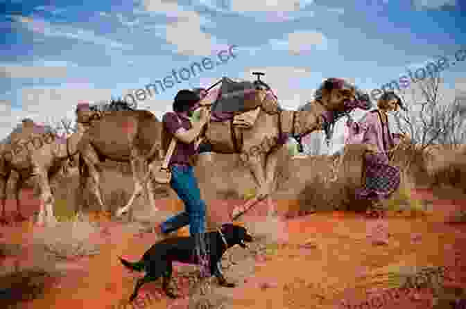 Camel Trekking In The Outback Of Australia Camels And Crocs: Adventures In Outback Australia