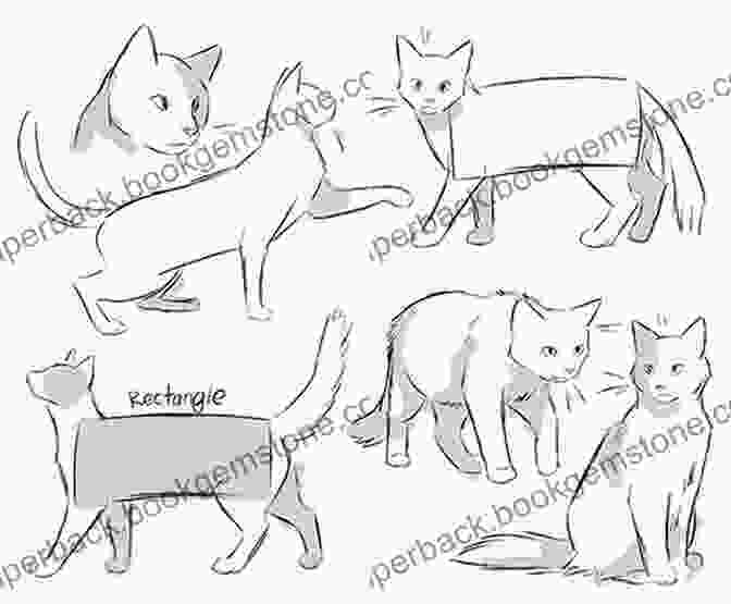 Drawings Of Cats In Different Poses: Jumping, Sitting, And Sleeping Kawaii Kitties: Learn How To Draw 75 Cats In All Their Glory (Kawaii Doodle)