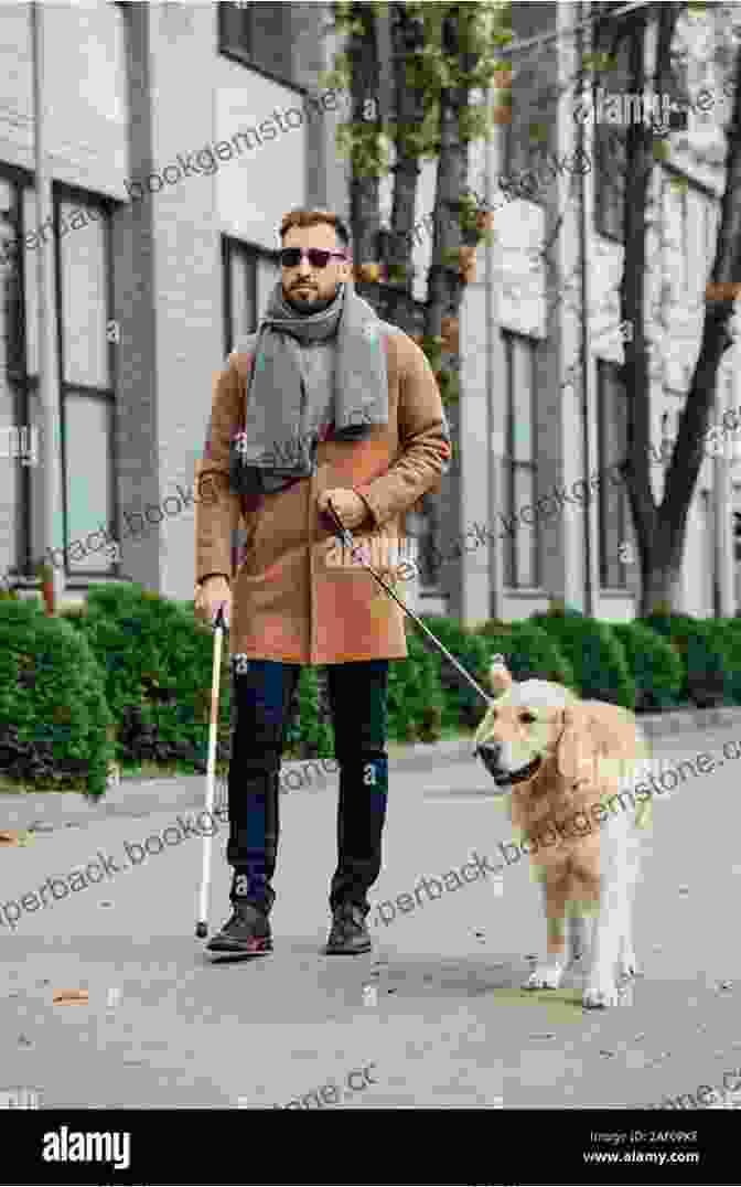 Image Of A Man Using A Guide Dog To Navigate A Busy Street. The Write 2 Heal: It S Not About The Sight Lost But Vision Gained