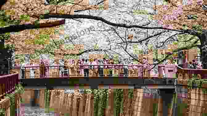 Nakameguro, A Trendy Neighborhood With A Riverfront Cherry Blossom Promenade Tokyo Travel Guide Insiders: The Ultimate Travel Guide With Essential Tips About What To See Where To Go Eat And Sleep Even If Your Budget Is Limited (Japanese Learning Travel Culture 1)
