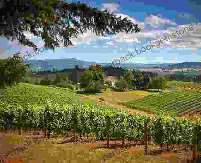 Rolling Hills And Vineyards In The Willamette Valley Lonely Planet Pocket Portland The Willamette Valley (Travel Guide)