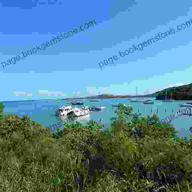 Salt River Bay National Historical Park And Ecological Preserve, St. Croix St Croix US Virgin Islands