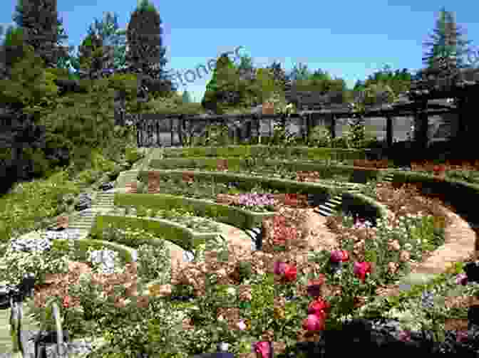 The Berkeley Rose Garden Cal Secret Spots (Visit Berkeley)