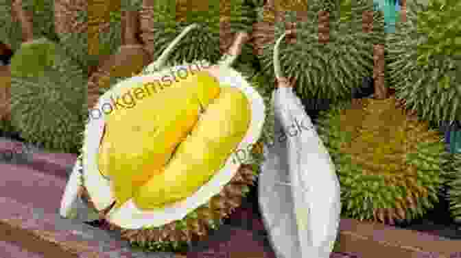 The Durian Fruit Is Known For Its Large Size, Spiky Exterior, And Pungent Odor. Far Afield: Rare Food Encounters From Around The World