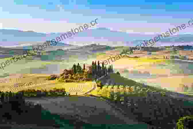 The Rolling Hills And Vineyards Of The Picturesque Tuscan Countryside Lonely Planet Florence Tuscany (Travel Guide)