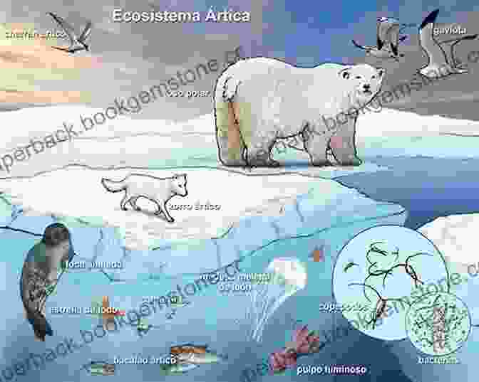 The Tundra And Antarctic Ecosystems Are Complex And Interconnected, With Each Species Playing A Vital Role In Maintaining Ecological Balance. The Coldest Tundra Arctic Antarctica Animal Wildlife Children S Polar Regions