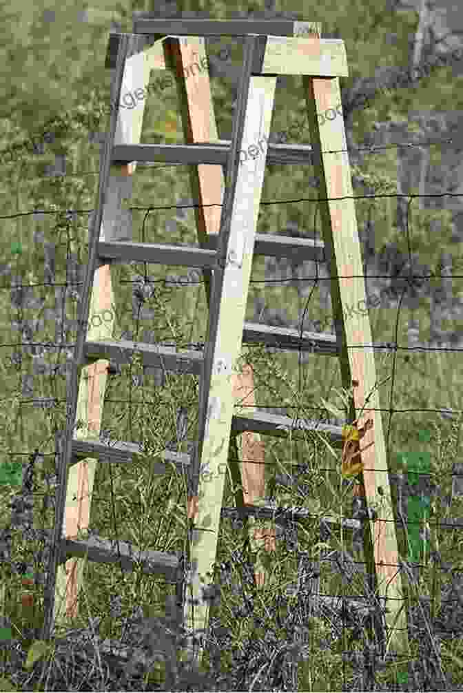 Windows, Tracks, Ladders, Bridges, And Fences For Enhanced Outdoor Living Windows Tracks Ladders Bridges Fences: Finger Paintings (Finger Paintings By Legally Blind Artist Tammy Ruggles)
