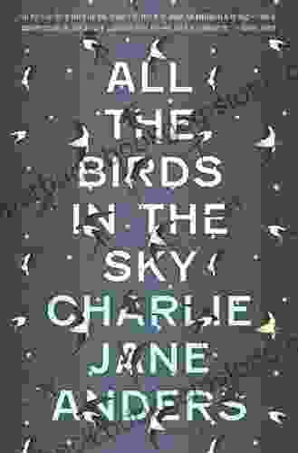 All The Birds In The Sky
