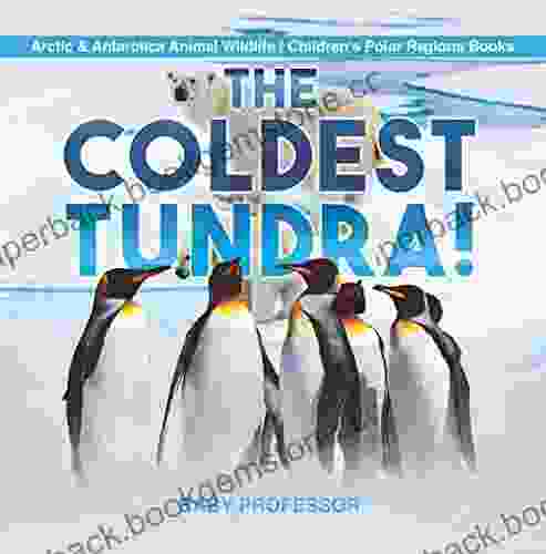 The Coldest Tundra Arctic Antarctica Animal Wildlife Children S Polar Regions