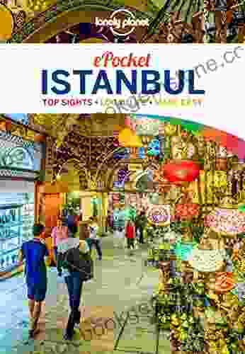 Lonely Planet Pocket Istanbul (Travel Guide)