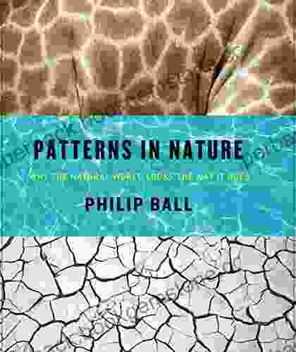 Patterns In Nature: Why The Natural World Looks The Way It Does
